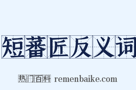 短蕃匠反义词是什么意思的图片